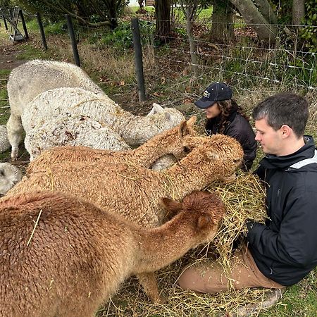 Silverstream Alpaca Farmstay & Tour Kaiapoi Exterior photo