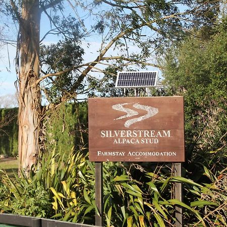 Silverstream Alpaca Farmstay & Tour Kaiapoi Exterior photo