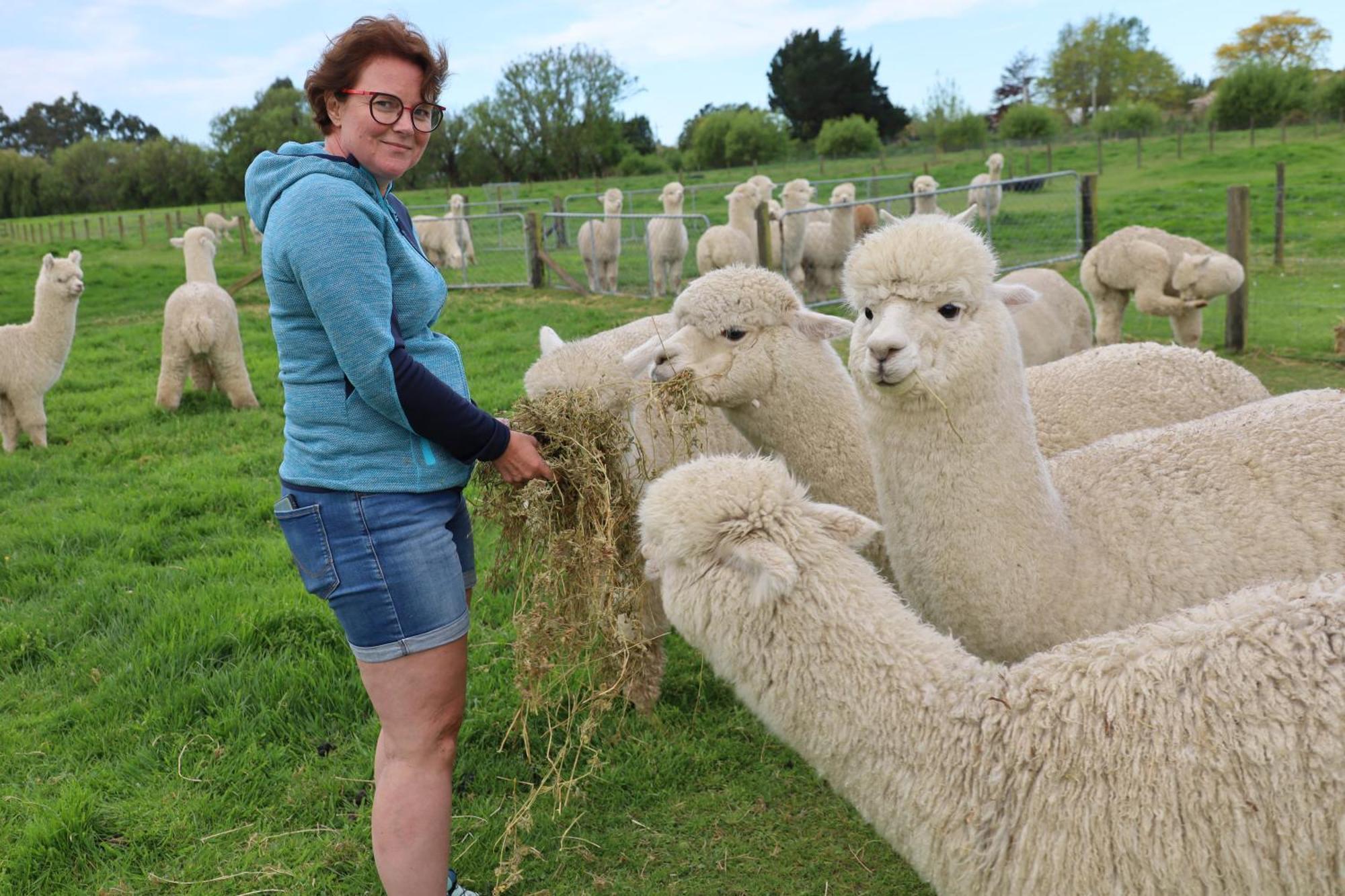 Silverstream Alpaca Farmstay & Tour Kaiapoi Exterior photo