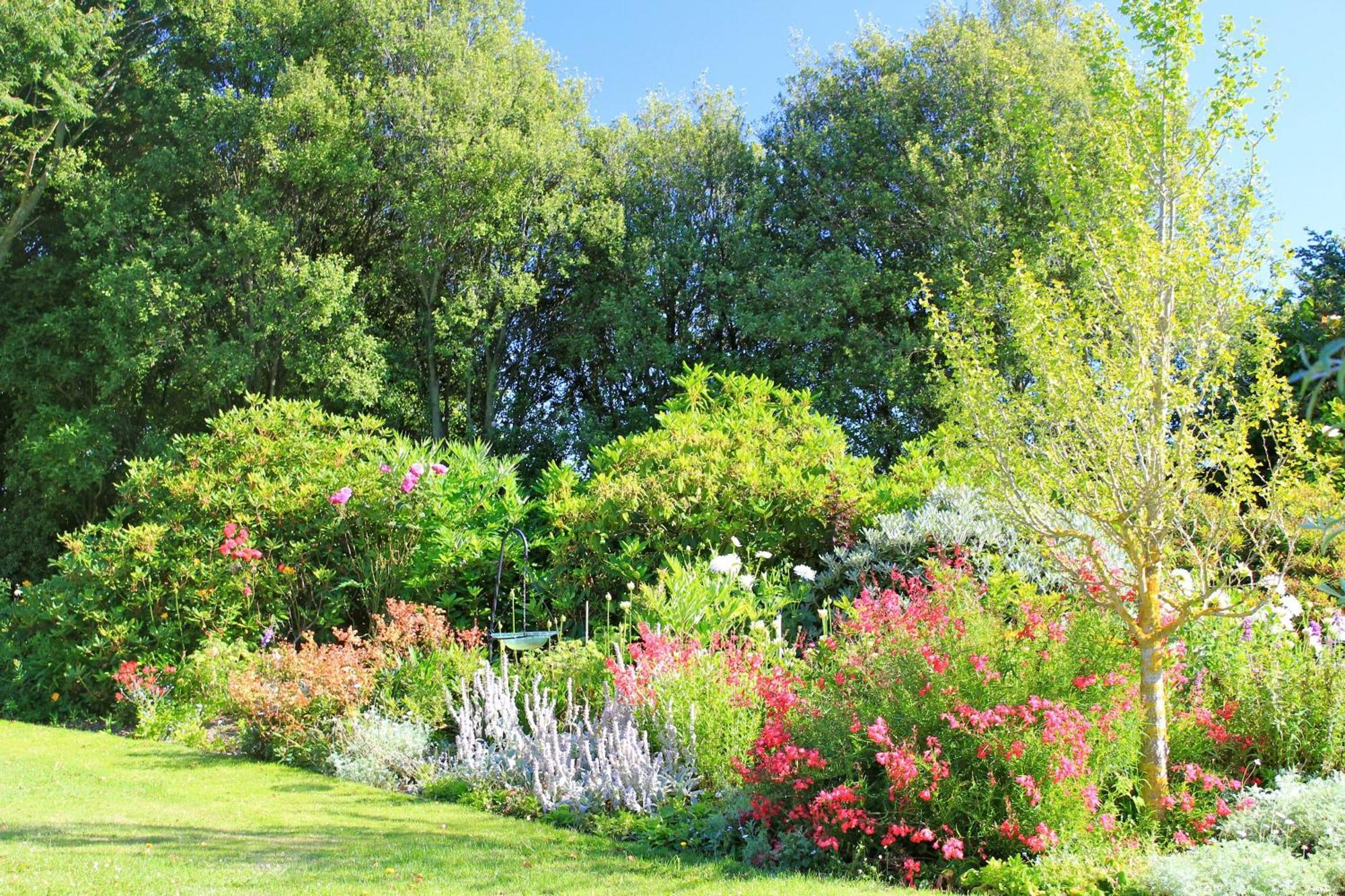 Silverstream Alpaca Farmstay & Tour Kaiapoi Exterior photo