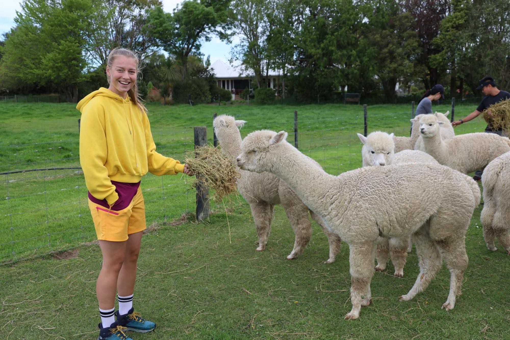 Silverstream Alpaca Farmstay & Tour Kaiapoi Exterior photo