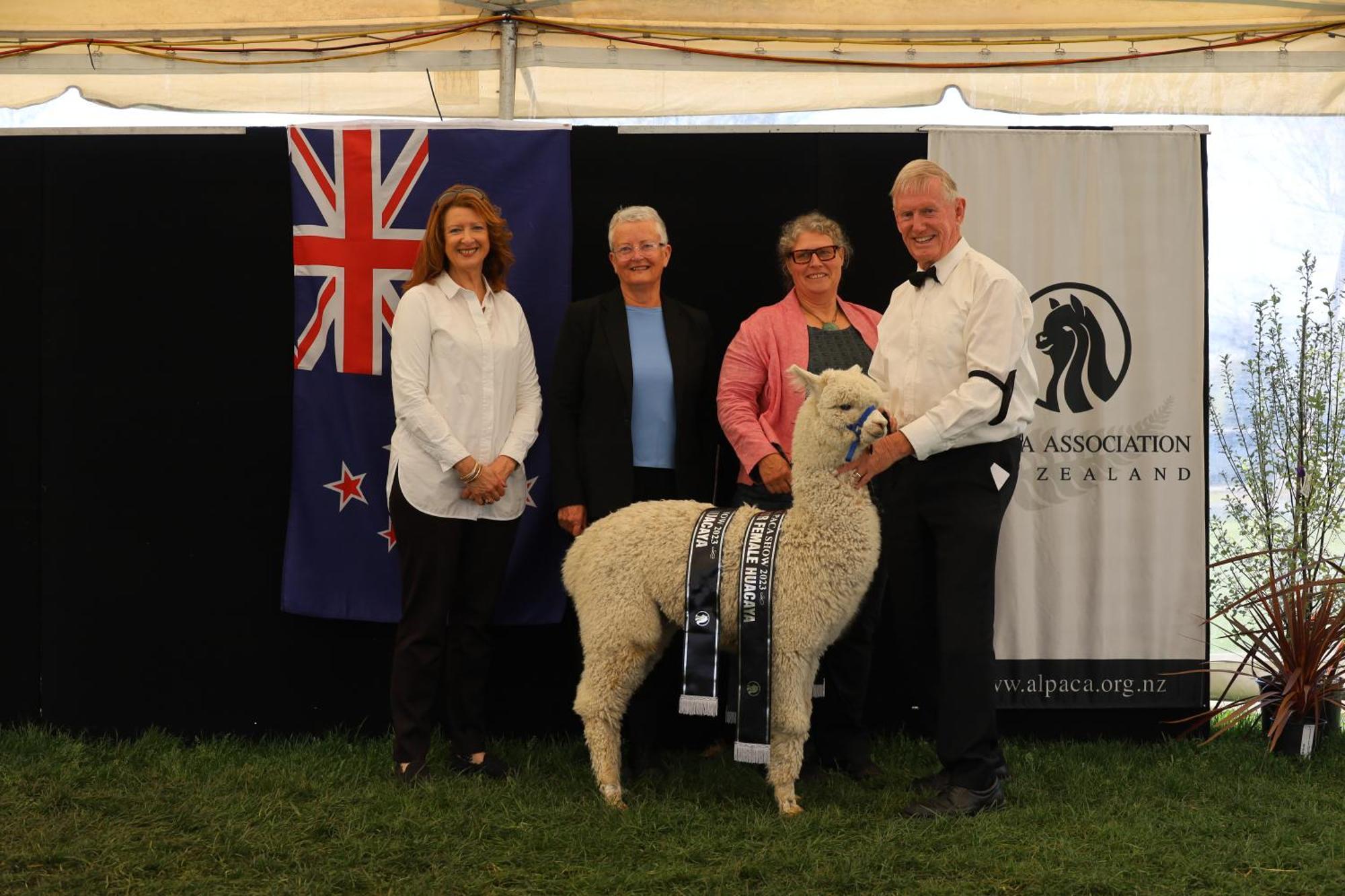 Silverstream Alpaca Farmstay & Tour Kaiapoi Exterior photo