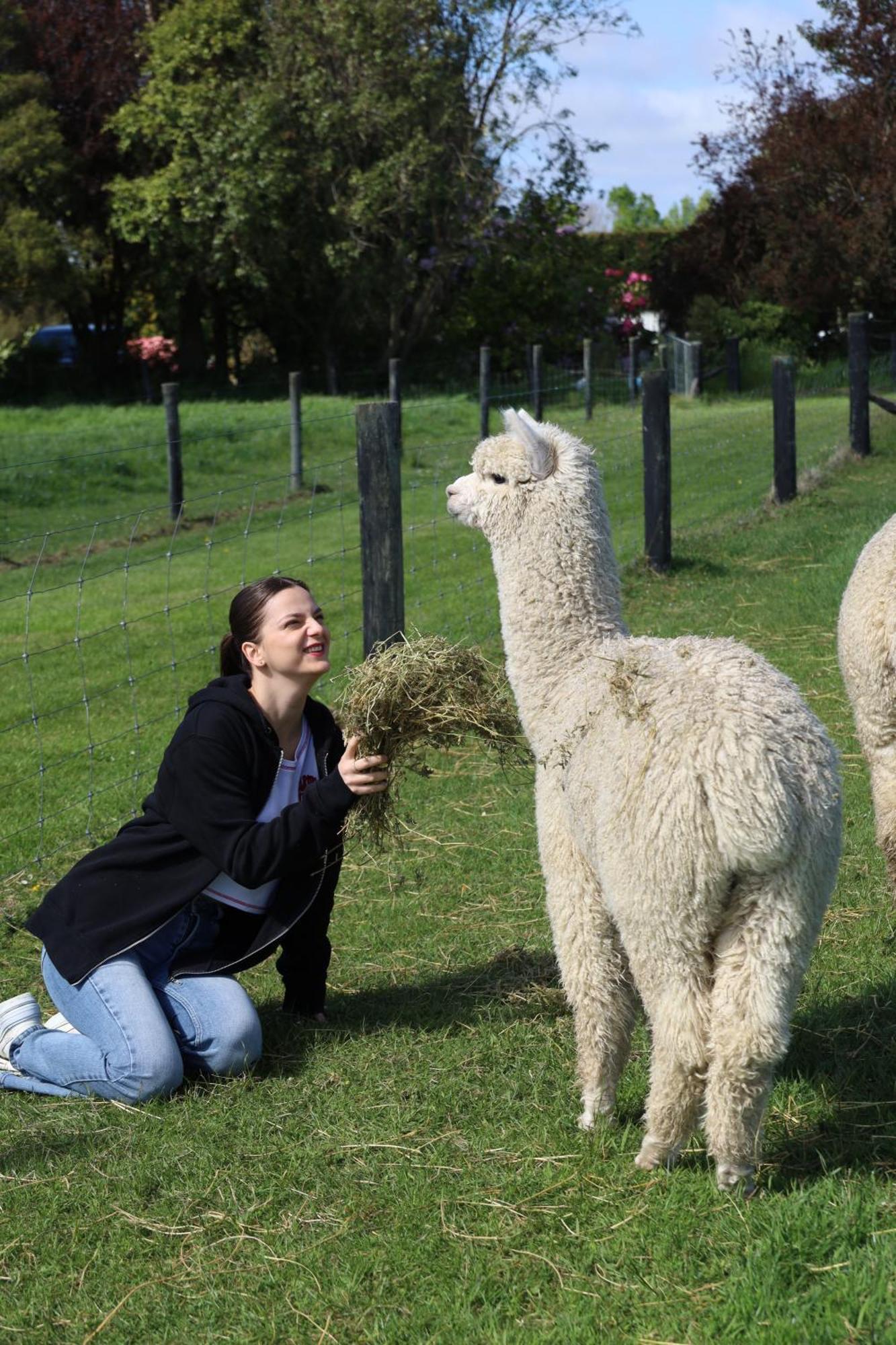 Silverstream Alpaca Farmstay & Tour Kaiapoi Exterior photo