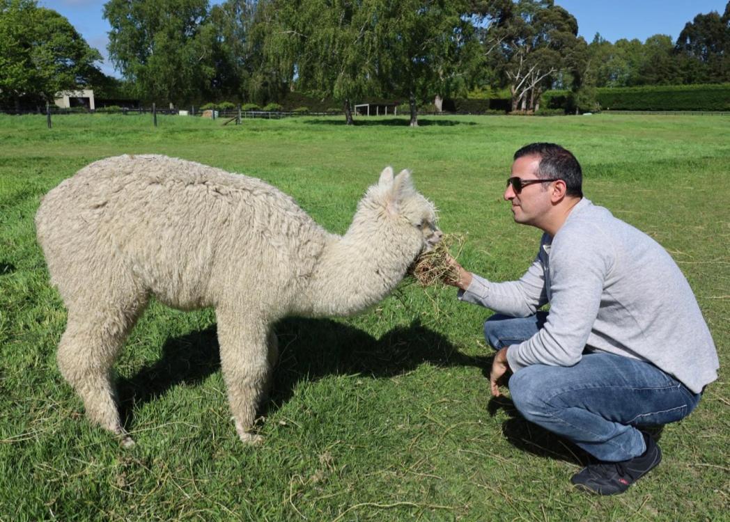 Silverstream Alpaca Farmstay & Tour Kaiapoi Exterior photo