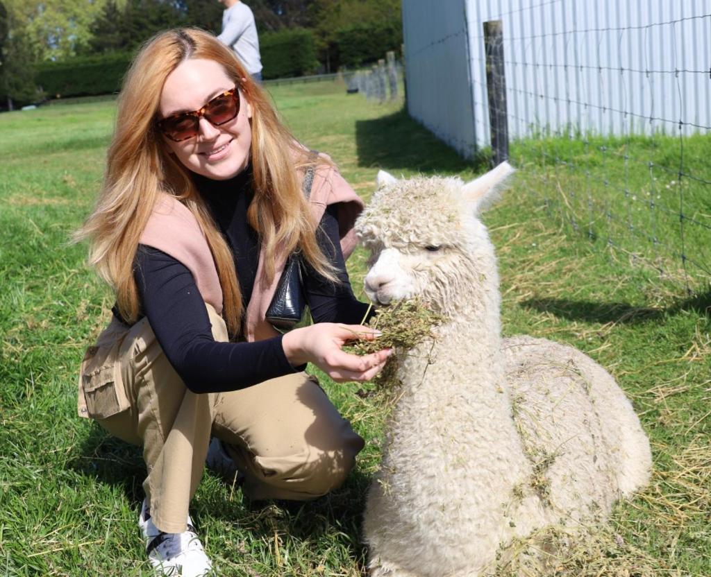 Silverstream Alpaca Farmstay & Tour Kaiapoi Exterior photo