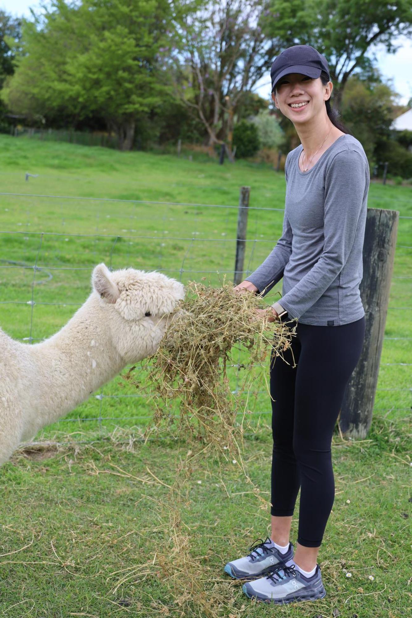 Silverstream Alpaca Farmstay & Tour Kaiapoi Exterior photo