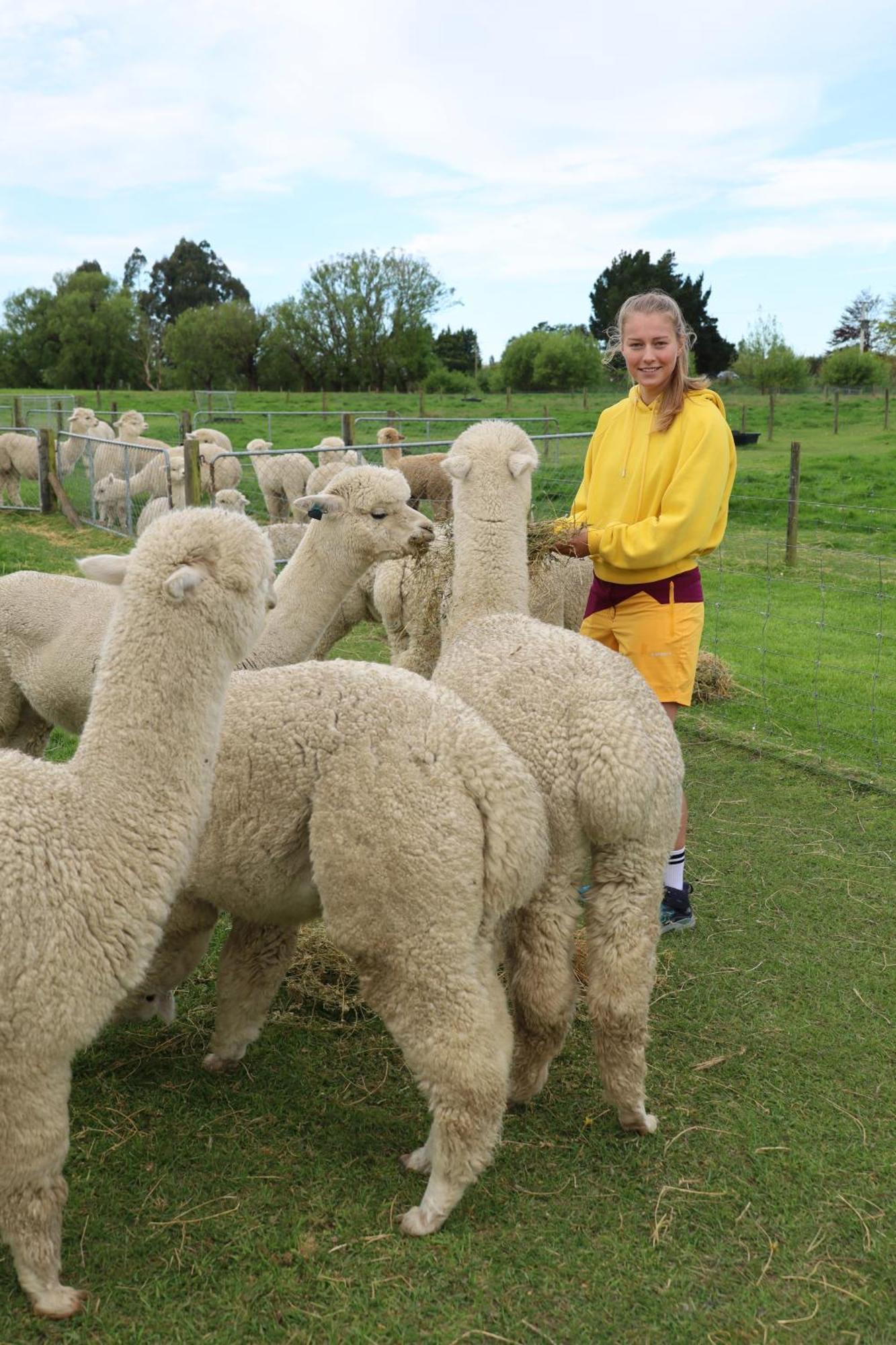 Silverstream Alpaca Farmstay & Tour Kaiapoi Exterior photo