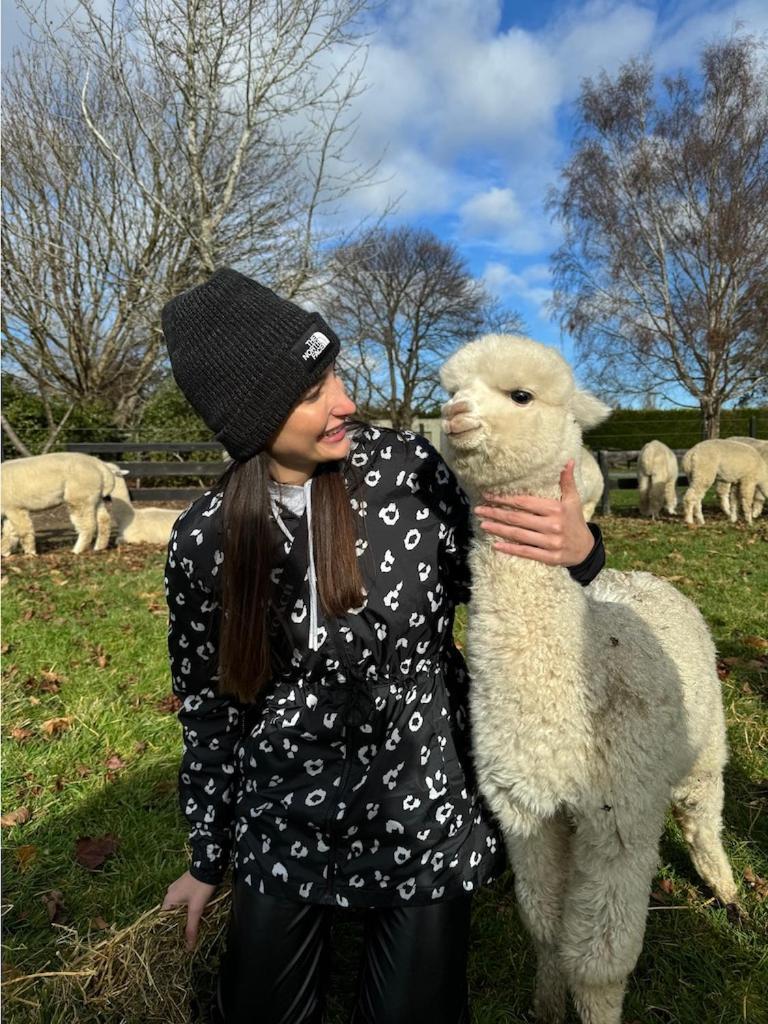 Silverstream Alpaca Farmstay & Tour Kaiapoi Exterior photo