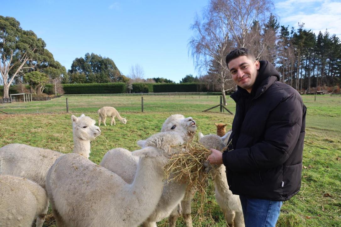 Silverstream Alpaca Farmstay & Tour Kaiapoi Exterior photo