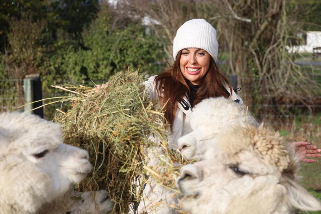 Silverstream Alpaca Farmstay & Tour Kaiapoi Exterior photo