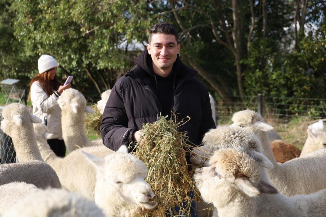 Silverstream Alpaca Farmstay & Tour Kaiapoi Exterior photo