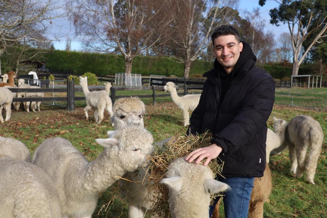 Silverstream Alpaca Farmstay & Tour Kaiapoi Exterior photo