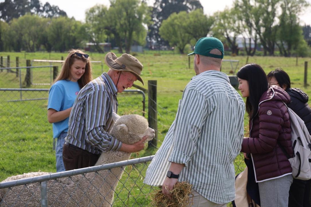 Silverstream Alpaca Farmstay & Tour Kaiapoi Exterior photo