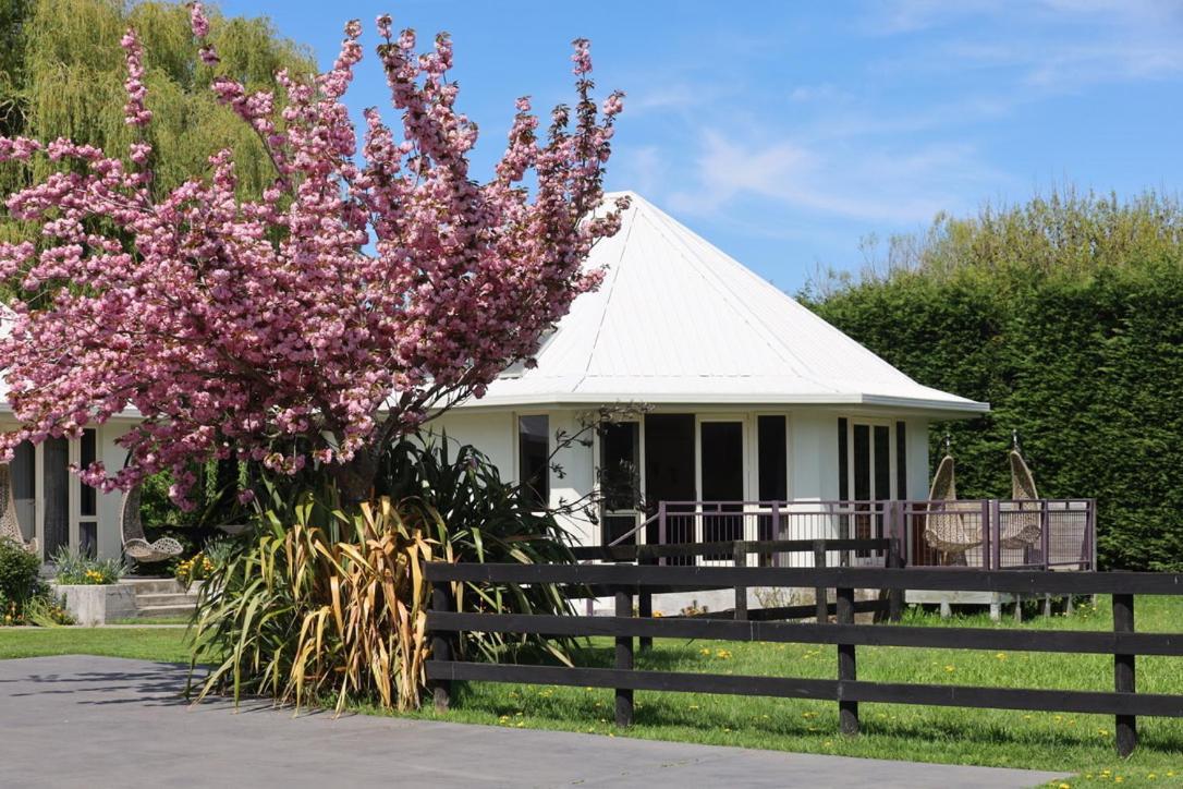 Silverstream Alpaca Farmstay & Tour Kaiapoi Exterior photo