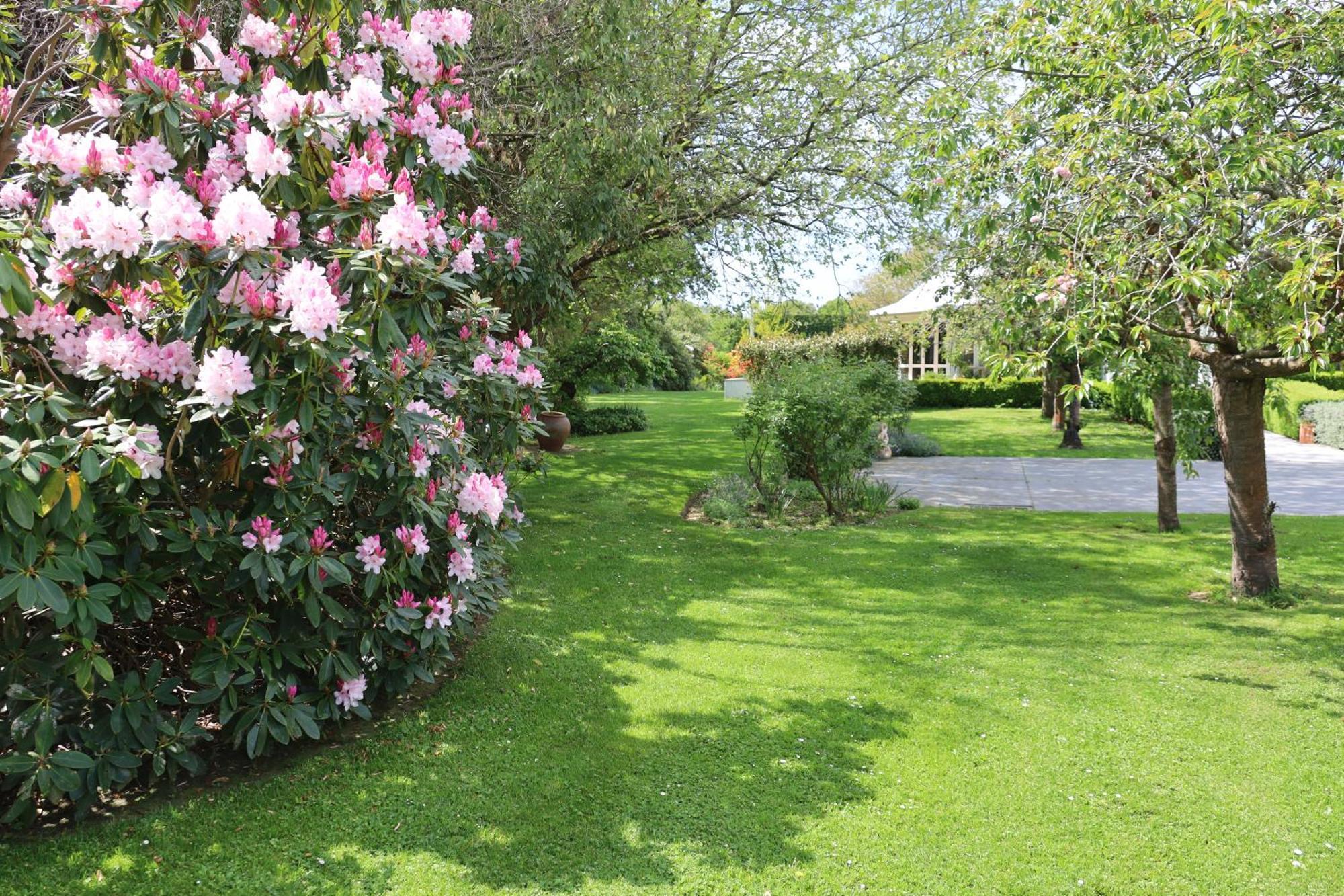 Silverstream Alpaca Farmstay & Tour Kaiapoi Exterior photo