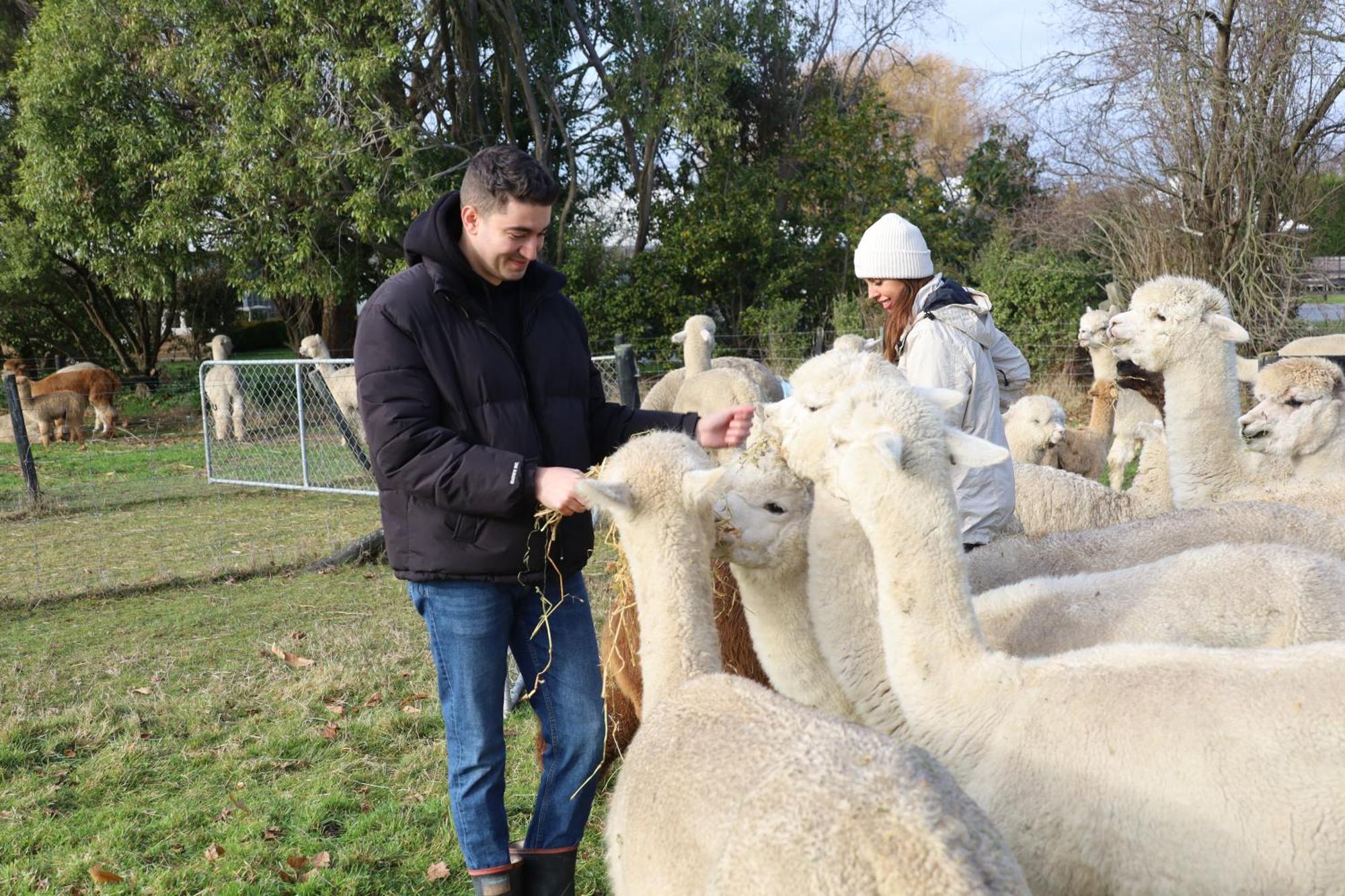 Silverstream Alpaca Farmstay & Tour Kaiapoi Exterior photo